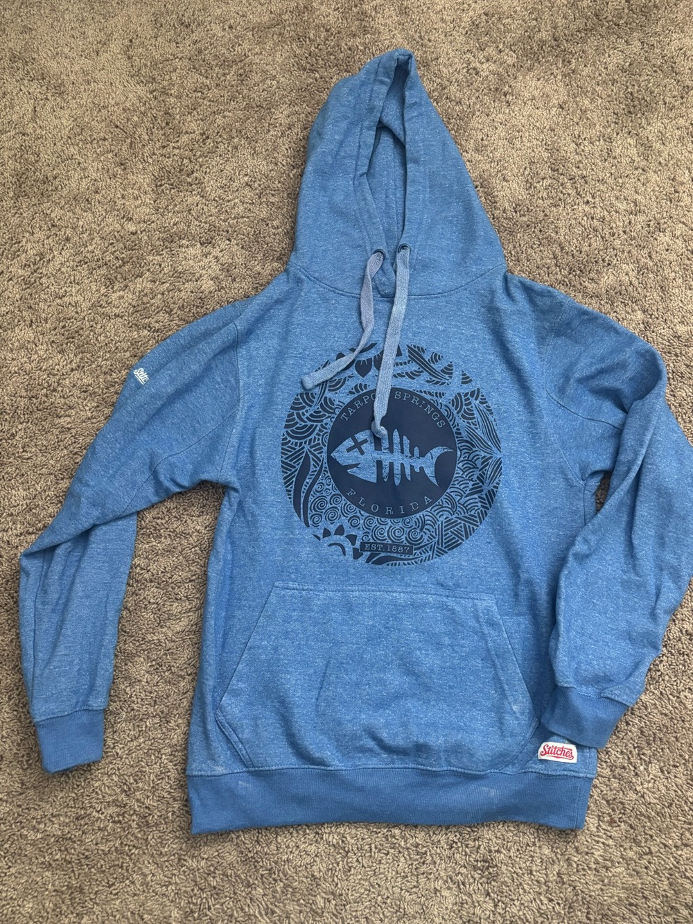 🌸 4 for $10 🌸 Blue Graphic Hooded Sweater